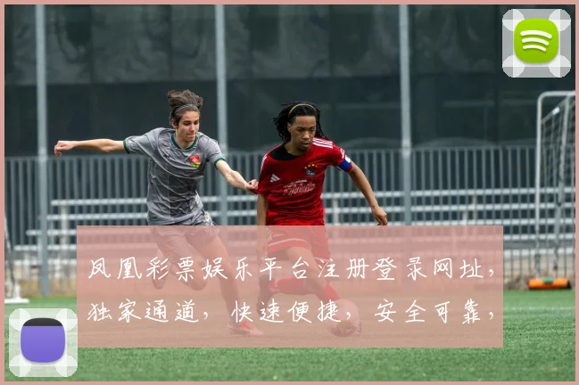 凤凰彩票娱乐平台注册登录网址，独家通道，快速便捷，安全可靠，三重保障，必看