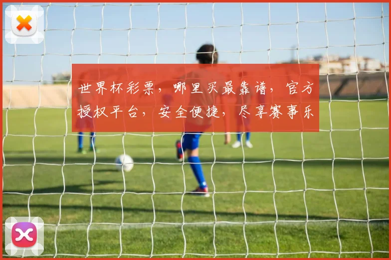 世界杯彩票，哪里买最靠谱，官方授权平台，安全便捷，尽享赛事乐趣